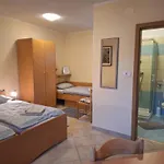 Pri Lovrizu 4*