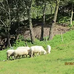 Pri Lovrizu 4* Kobarid