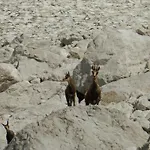 Pensjonat Pri Lovrizu 4*