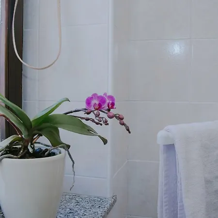 Pri Lovrizu Guest house