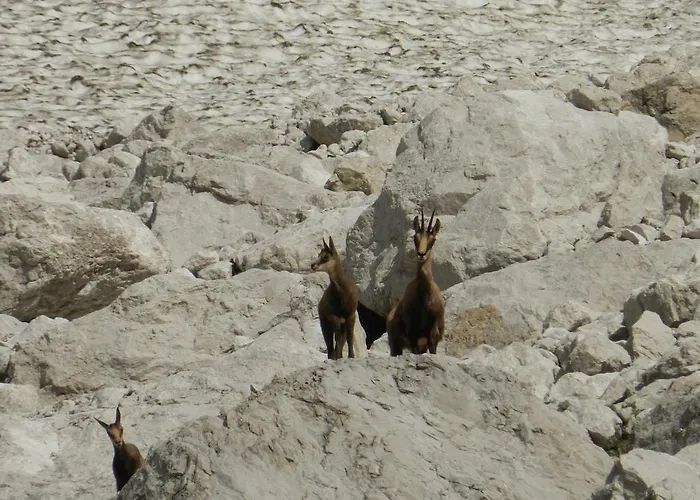 Pensión Pri Lovrizu 2*